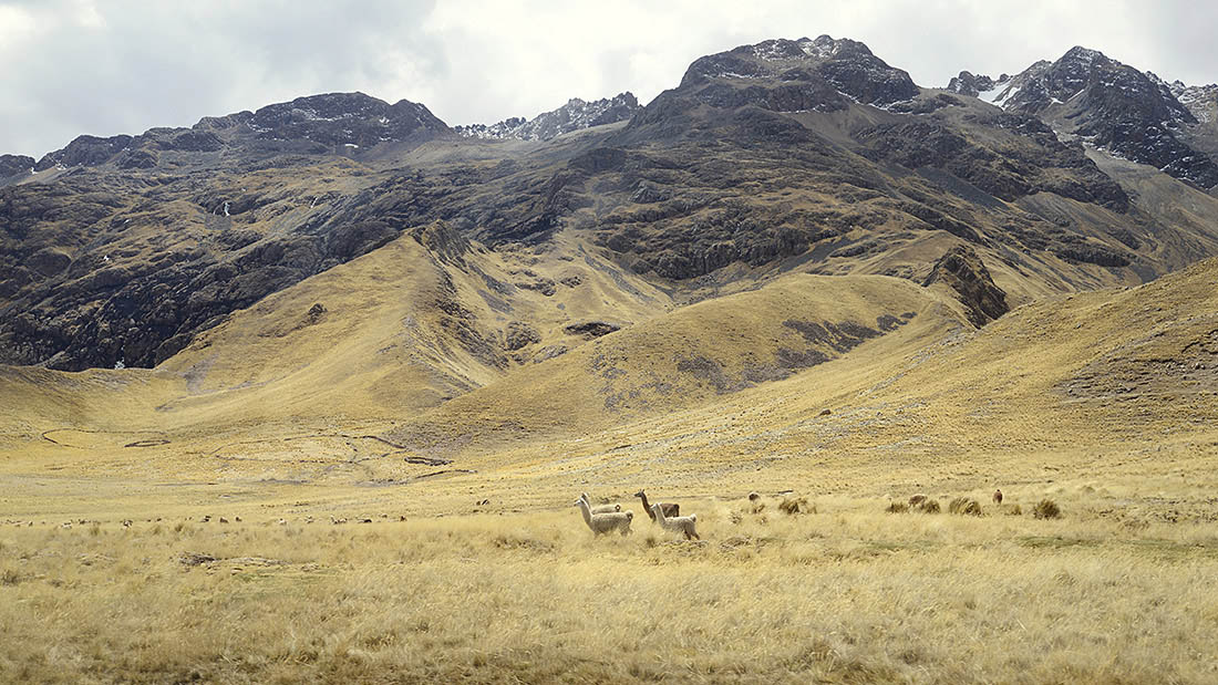 Peru